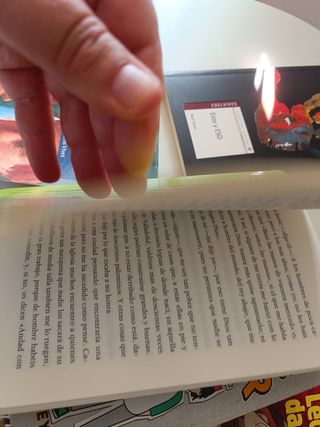 Ocho libros a partir de doce años  ESO