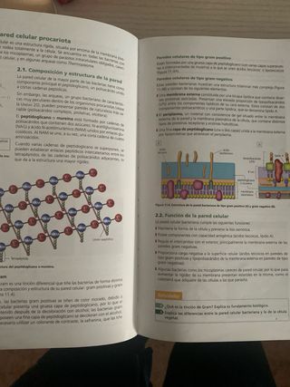 Inicia Biología 2.º Bachillerato. Libro del alumno