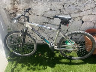 Bicicleta Montaña Topbike Aluminio 26