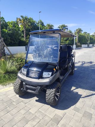 Buggies Eléctricos 6 Plazas