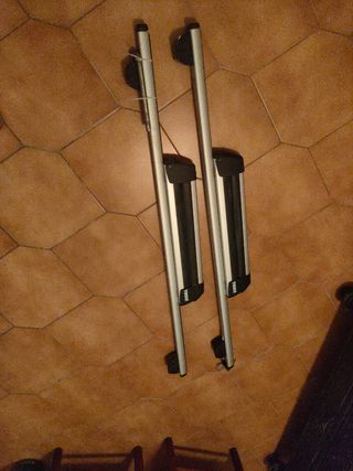 Portaesquís Thule
