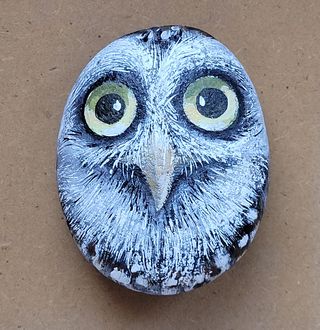 Pietra dipinta a mano Gufo