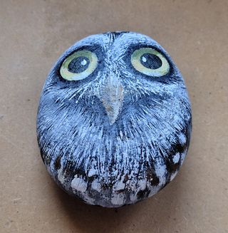 Pietra dipinta a mano Gufo