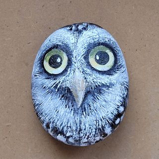 Pietra dipinta a mano Gufo