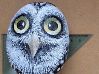 Pietra dipinta a mano Gufo