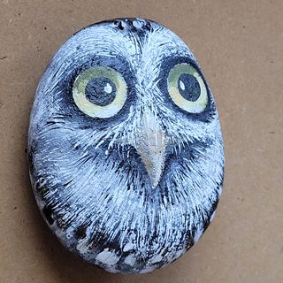 Pietra dipinta a mano Gufo