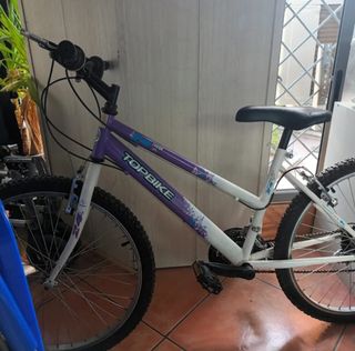 Bicicleta de montaña Topbike 24