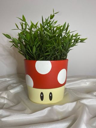 Macetas decoradas a mano Mario Bros
