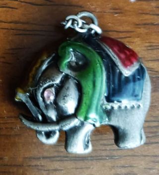 collezione per gli amanti degli elefanti