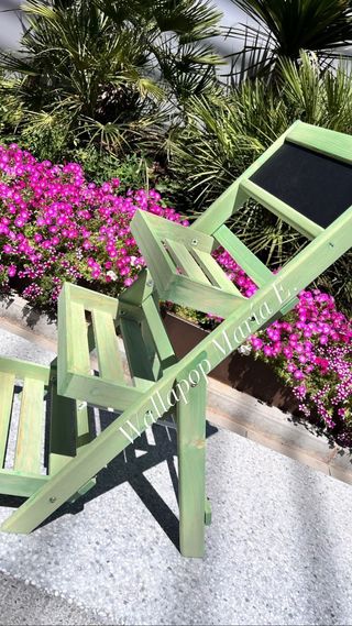 Portavasi per piante succulente con cactus