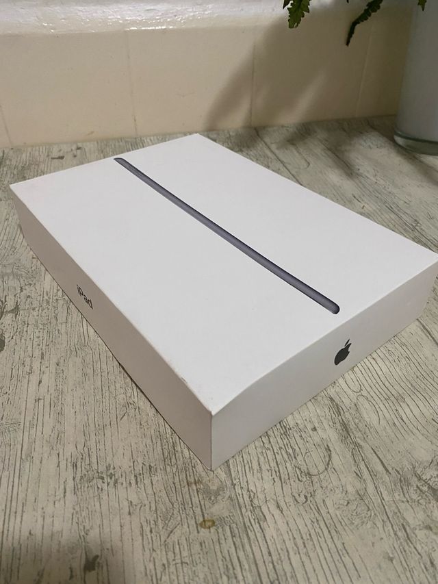 Caja iPad Apple