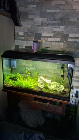 Acuario completo con mueble