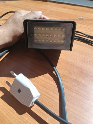 Luz de festa 
