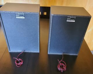 Altavoces Aiwa SX-NS202