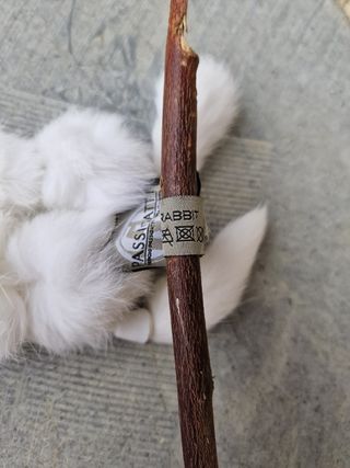 Estola Passigatti 100% Conejo Blanca