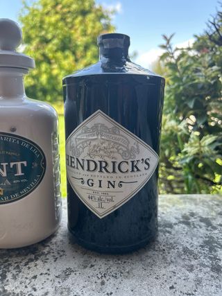 Bottiglie Gin Vuote da Collezione