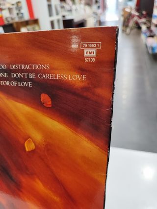 Vinilo Paul McCartney Flowers in the Dirt