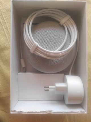 Google Nest Mini 2ª Gen Gris