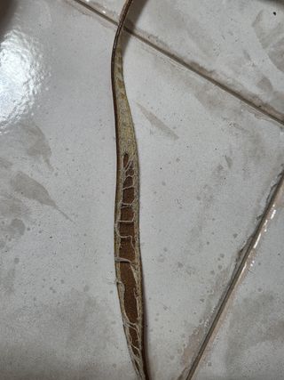 Borsa vintage anni '70 in pelle beige