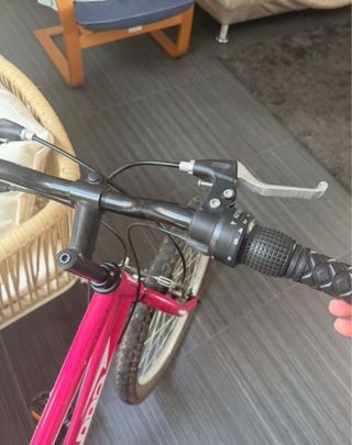 Bicicleta niña B-Pro 24” 
