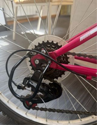 Bicicleta niña B-Pro 24” 