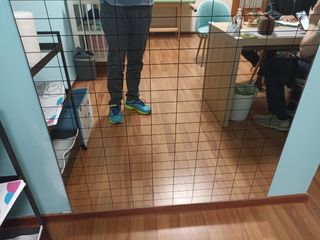 Specchio Quadrettato Fisiotech Posturologia