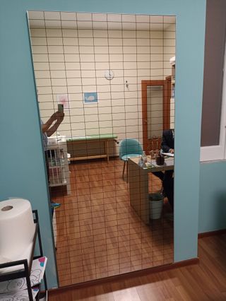 Specchio Quadrettato Fisiotech Posturologia