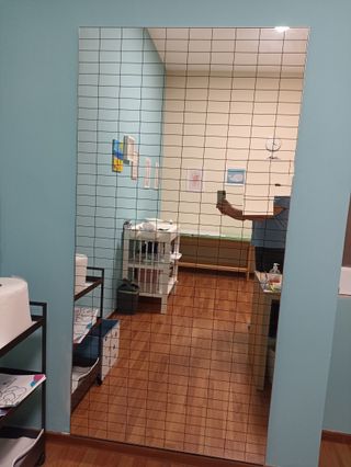 Specchio Quadrettato Fisiotech Posturologia