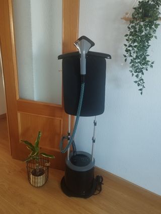 Plancha de vapor Cecotec