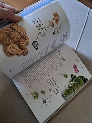 A comer se aprende: Alimentación sana para tu d...