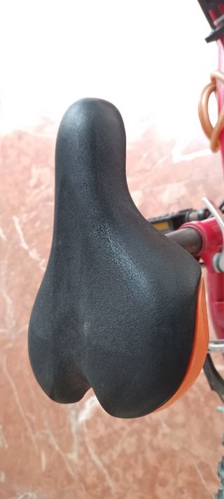 Bicicleta infantil 20 pulgadas