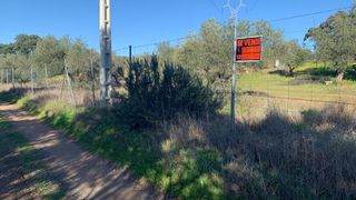 Parcela rústica en venta en Don Álvaro