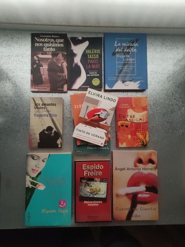 LOTE LIBROS VARIOS