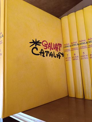 Diccionari enciclopèdic Salvat català 