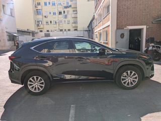 Lexus NX 2017