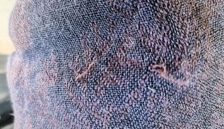 Pashmina MaxMara Viola e Nero