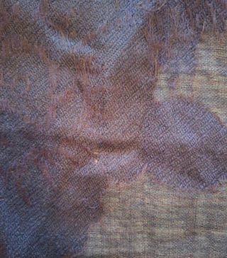 Pashmina MaxMara Viola e Nero