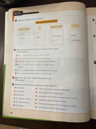 Libro Natural Science 4 primaria MacMillan