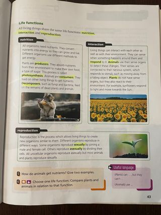 Libro Natural Science 4 primaria MacMillan