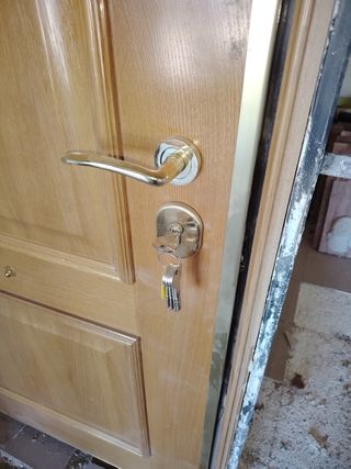 Puerta blindada de madera