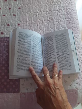 Diccionari escolar senzill valencià-castellà il...