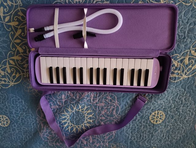 Melódica Record Morada