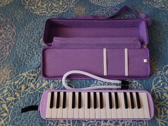 Melódica Record Morada