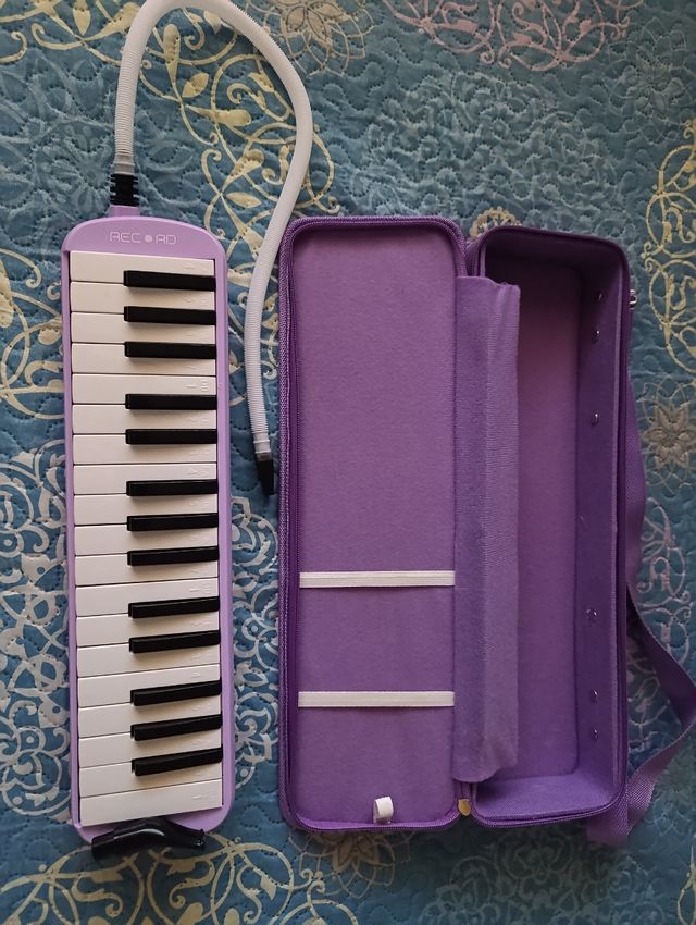 Melódica Record Morada