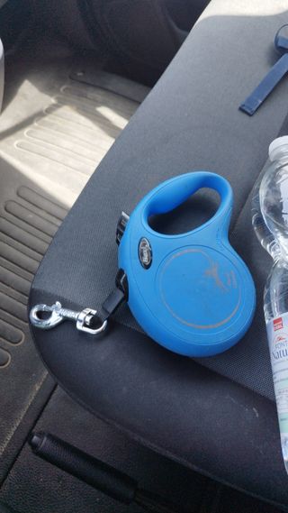 Correa retráctil Flexi para perros azul
