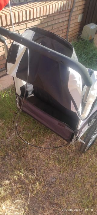 Carrito para bicicleta infantil