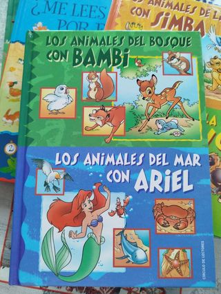 Cuentos infantiles lote por 7 euros 