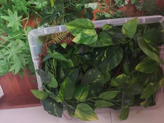Plantas Artificiales Decorativas Verdes