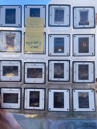 Gigante  Lote Diapositivas 300 particulares,