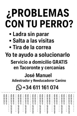 Reeducador y adiestrador canino.